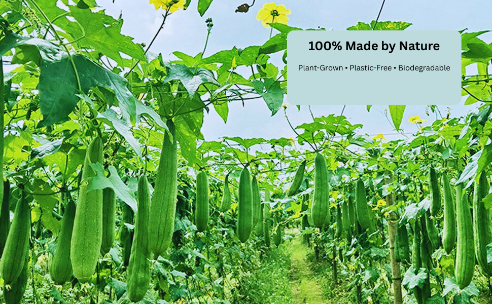 100% Natural Loofah Sponge – Plant-Based, Plastic-Free Exfoliator